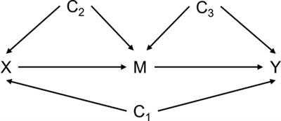 Application of 4-way decomposition to the analysis of placental-fetal biomarkers as intermediary variables between maternal body mass index and birthweight